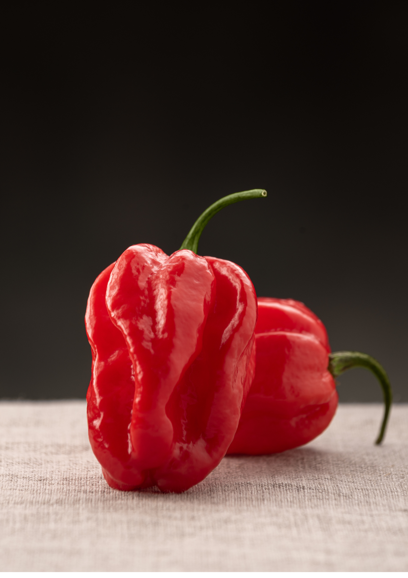 hoja a4 receta paella scrapbook beige (1)